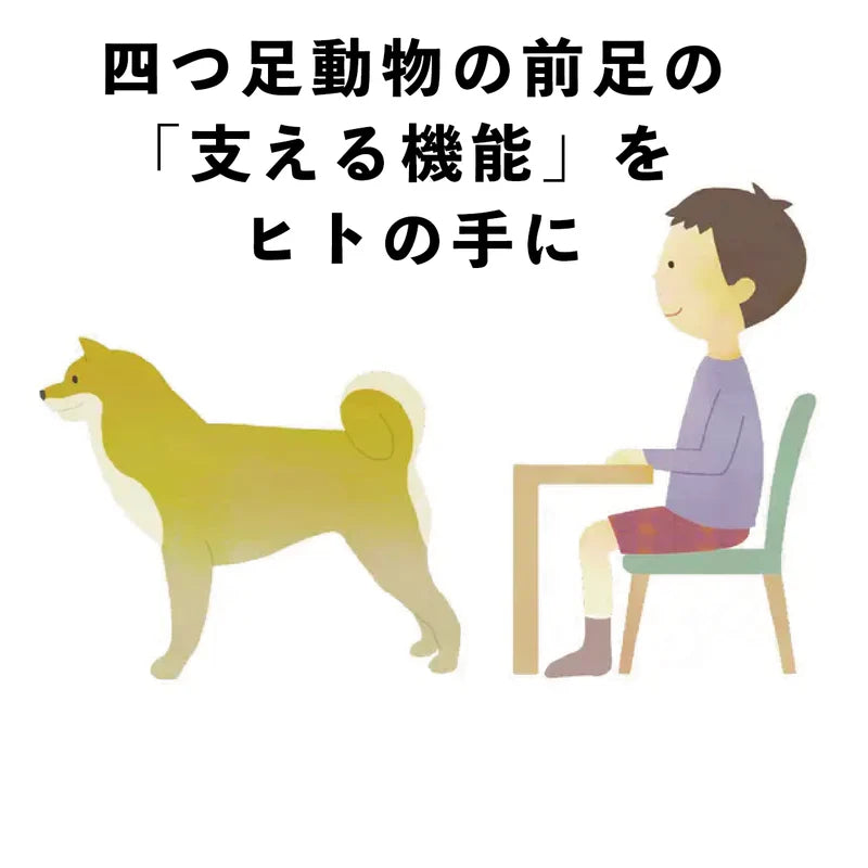 背すじを支える“手のSiseii（シセイー）”　